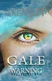 Gale Warning (eBook, ePUB)