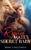 Rejected Mate's Secret Baby (eBook, ePUB)