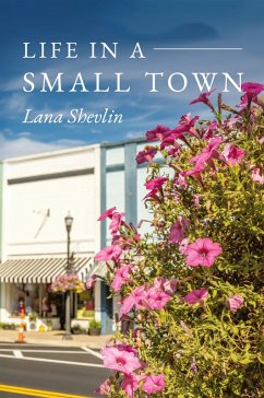 Cover Life In A Small Town