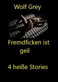 Fremdficken ist geil (eBook, ePUB)