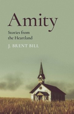 Cover Amity (eBook, ePUB)