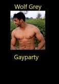 Gayparty (eBook, ePUB)