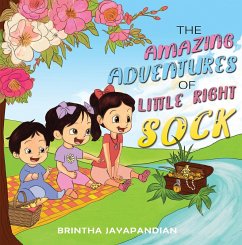 Cover Amazing Adventures of Little Right Sock (eBook, ePUB)
