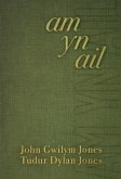 Am yn Ail (eBook, ePUB)