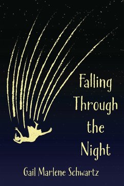Cover Falling Through the Night by Gail Marlene Schwartz (eBook, PDF)