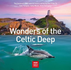 Wonders of the Celtic Deep (eBook, ePUB) - Templar, Dale