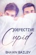 Defective Cupid (eBook, ePUB) - Bild 1