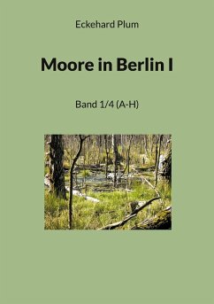 Moore in Berlin I - Plum, Eckehard