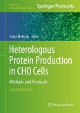 Heterologous Protein Production in Cho Cells