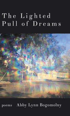 The Lighted Pull of Dreams - Bogomolny, Abby Lynn