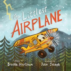 The Littlest Airplane - Hartman, Brooke