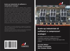 Scale-up industriale di soffiatori e compressori ecologici - Mittal, Harshit;Kushwaha, Omkar;Mittal, Shri Kishan