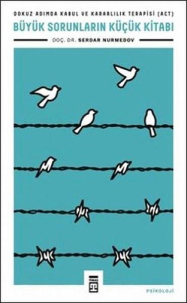 Büyük Sorunlarin Kücük Kitabi