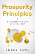 Prosperity Principles - Bild 1