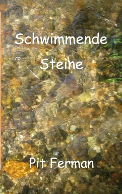 Schwimmende Steine (eBook, ePUB)