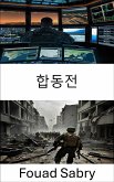 합동전 (eBook, ePUB)