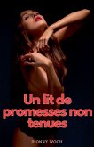 Un lit de promesses non tenues