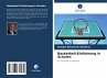 Basketball-Einführung in Schulen - Bild 1
