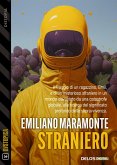 Straniero (eBook, ePUB)