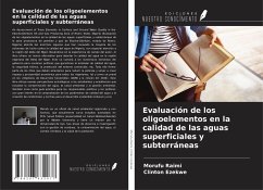 Evaluación de los oligoelementos en la calidad de las aguas superficiales y subterráneas - Raimi, Morufu; Ezekwe, Clinton