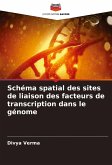 Schéma spatial des sites de liaison des facteurs de transcription dans le génome