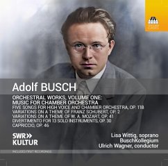 Orchesterwerke,Vol. 1 - Wittig,Lisa/Wagner,Ulrich/Buschkollegium