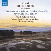 Symphony In D Minor/Violin Concerto