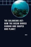 The Balancing Act: How the Ocean Buries Carbon and Shapes Our Planet