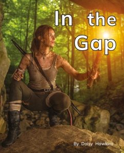Cover In the Gap