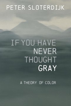 Cover If You Have Never Thought Gray