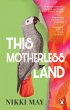This Motherless Land - Bild 1