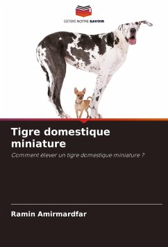 Tigre domestique miniature - Amirmardfar, Ramin