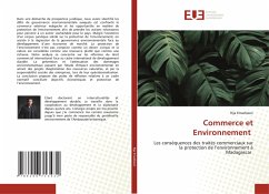 Commerce et Environnement - Emadisson, Rija