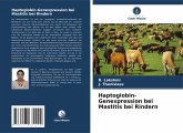 Haptoglobin-Genexpression bei Mastitis bei Rindern