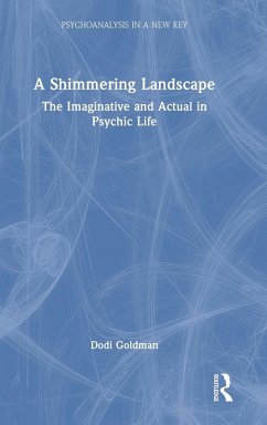 Cover A Shimmering Landscape