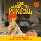 Neue Geschichten vom Pumuckl