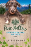 Pine Hollow - Vier Pfoten und ein Date / Pine Hollow Bd.2 (Mängelexemplar)