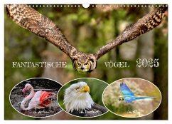 Fantastische Vögel (Wandkalender 2025 DIN A3 quer), CALVENDO Monatskalender