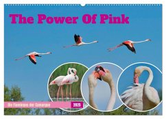 The Power Of Pink (Wandkalender 2025 DIN A2 quer), CALVENDO Monatskalender