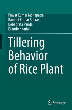 Tillering Behavior of Rice Plant - Mohapatra, Pravat Kumar;Sarkar, Ramani Kumar;Panda, Debabrata