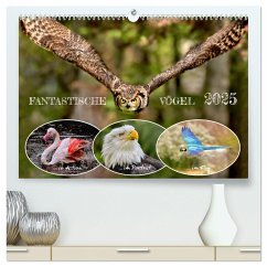 Fantastische Vögel (hochwertiger Premium Wandkalender 2025 DIN A2 quer), Kunstdruck in Hochglanz