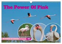 The Power Of Pink (Wandkalender 2025 DIN A3 quer), CALVENDO Monatskalender - Calvendo;Freund, Andreas