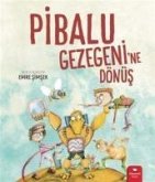 Pibalu Gezegenine Dönüs