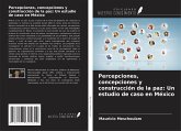 Percepciones, concepciones y construcción de la paz: Un estudio de caso en México