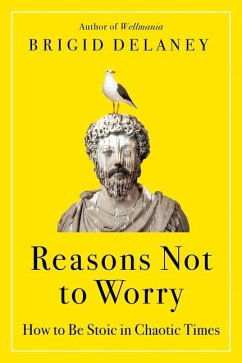 Reasons Not to Worry - Delaney, Brigid