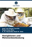 Honigbienen und Melonenbestäubung