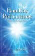 Familiar Reflections - Bild 1