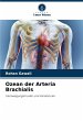 Ozean der Arteria Brachialis - Bild 1