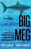 Big Meg