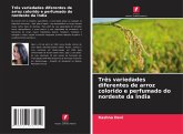 Três variedades diferentes de arroz colorido e perfumado do nordeste da Índia